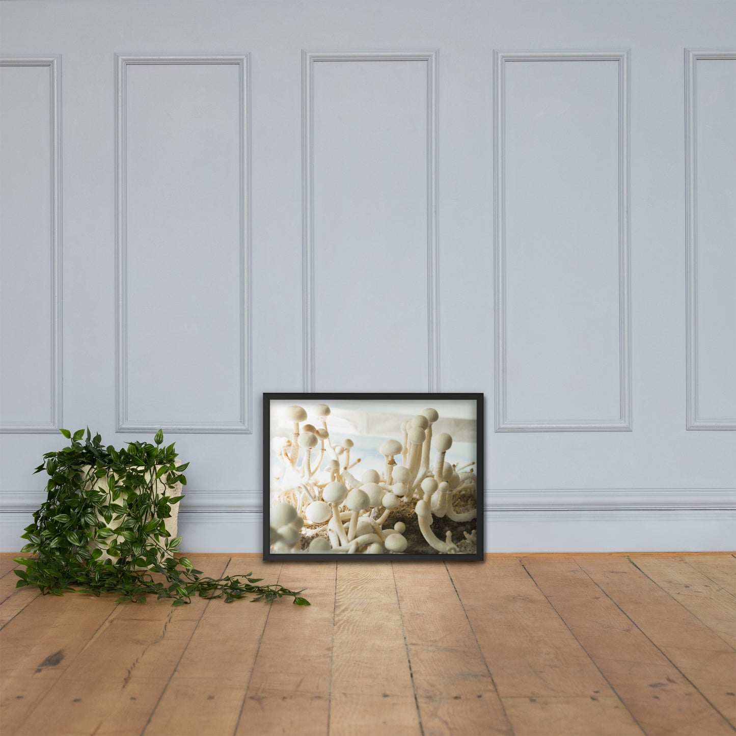Psilocybe Cubensis mushroom - Framed photo paper poster