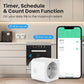 WiFi Smart Plug with Power Monitor - Compatible with Google Home and Alexa - Surge Protection, Overload Protection, and Energy Monitoring - 16A EU Smart Plug