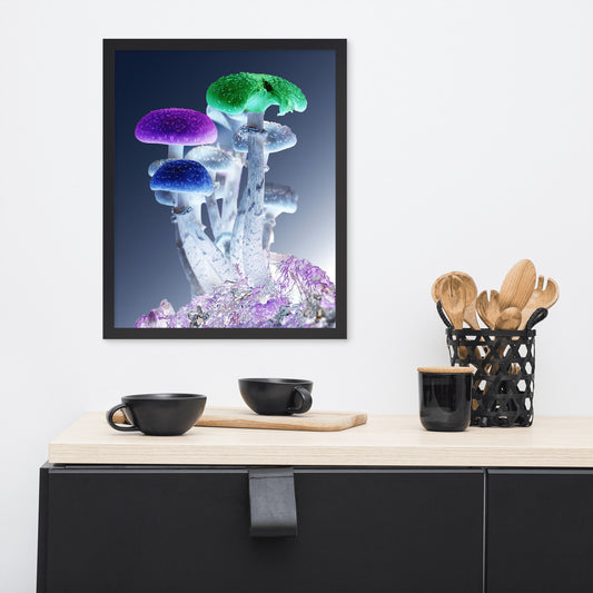 Psilocybe mushroom Framed photo paper poster