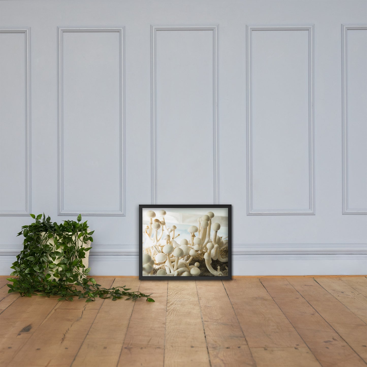 Psilocybe Cubensis mushroom - Framed photo paper poster